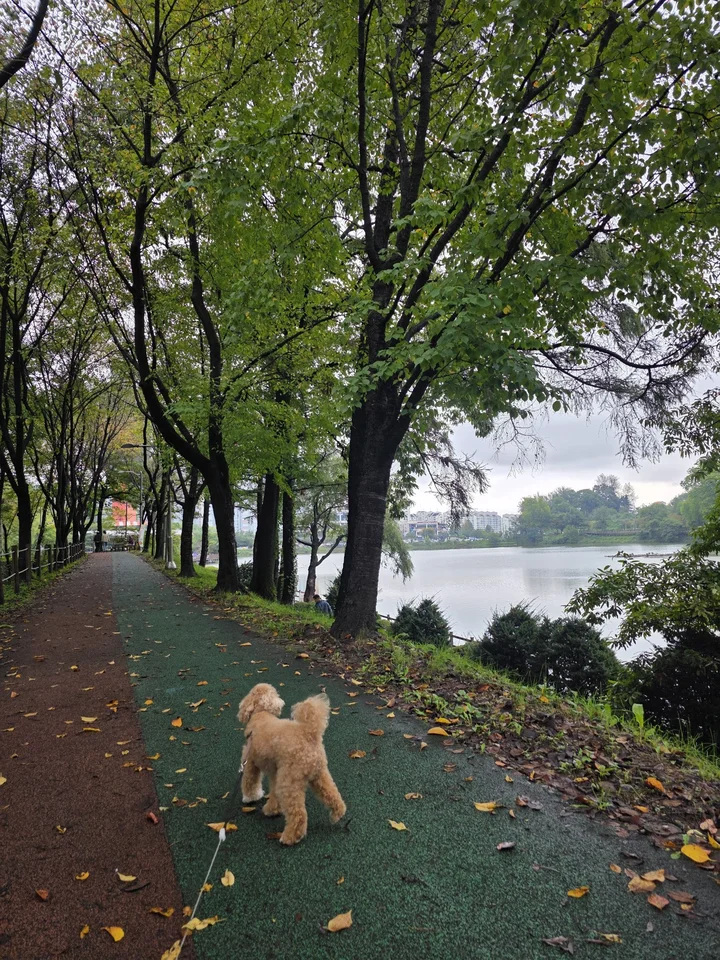 명암저수지 산책길