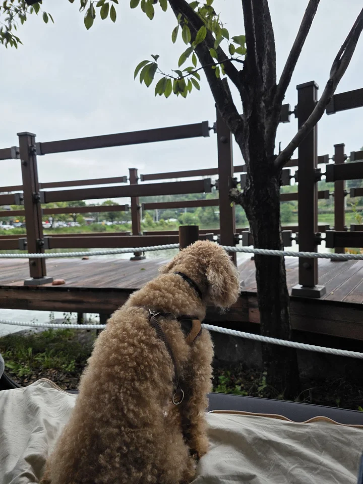 명암저수지 예식장 앞 주차장