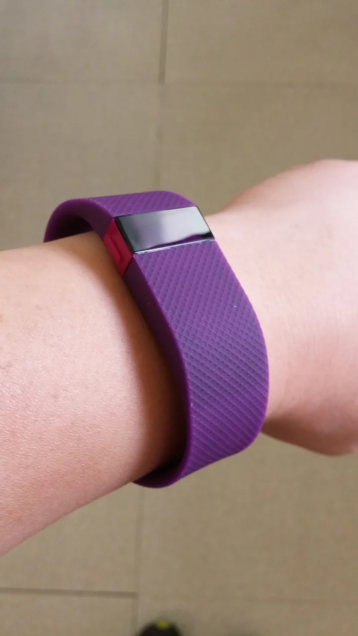 핏비트 착용 모습