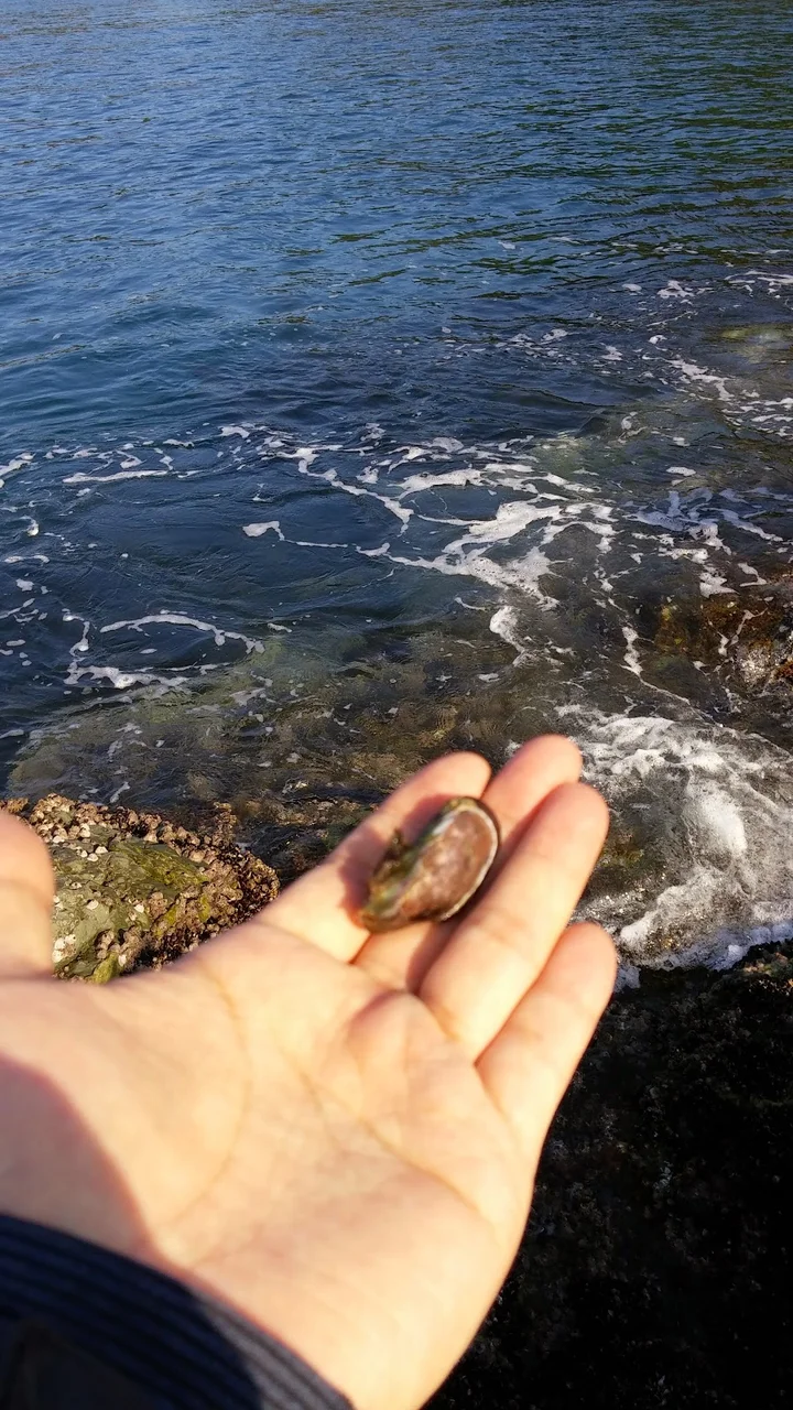 Pasted_image_20251031170937