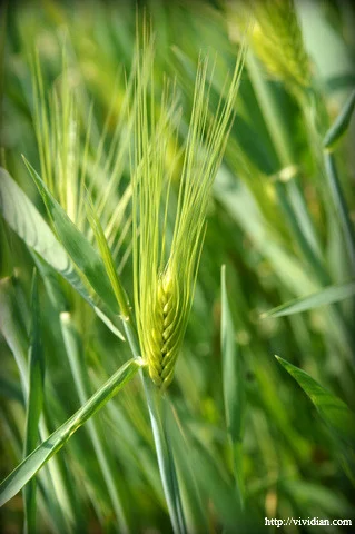 Pasted_image_20251031224935