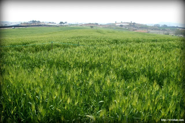 Pasted_image_20251031225039