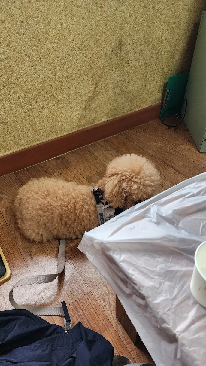 travel_240421_예당관광지_산책_13