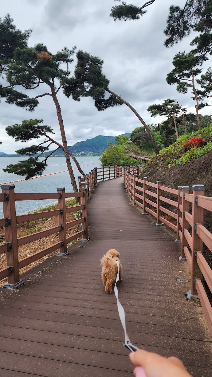 travel_240421_예당관광지_산책_2