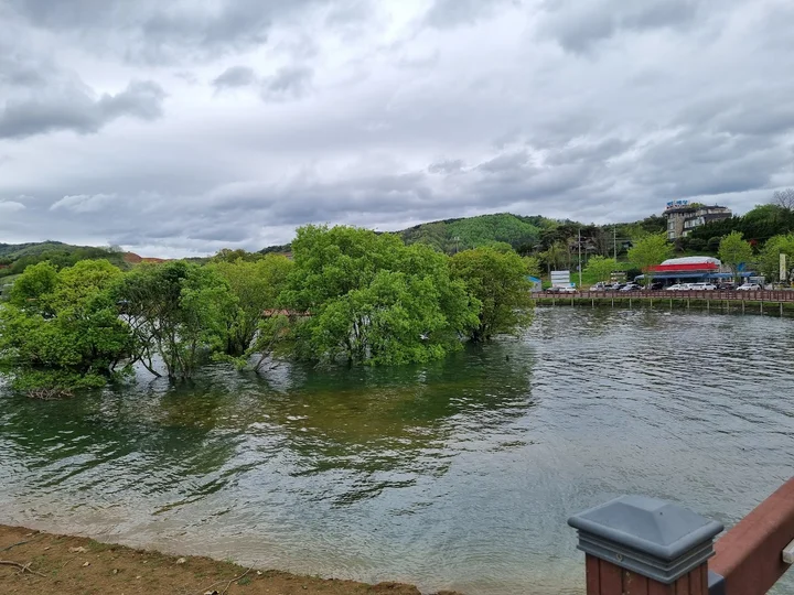 travel_240421_예당관광지_산책_4