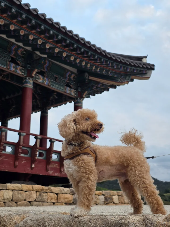 충청수영성