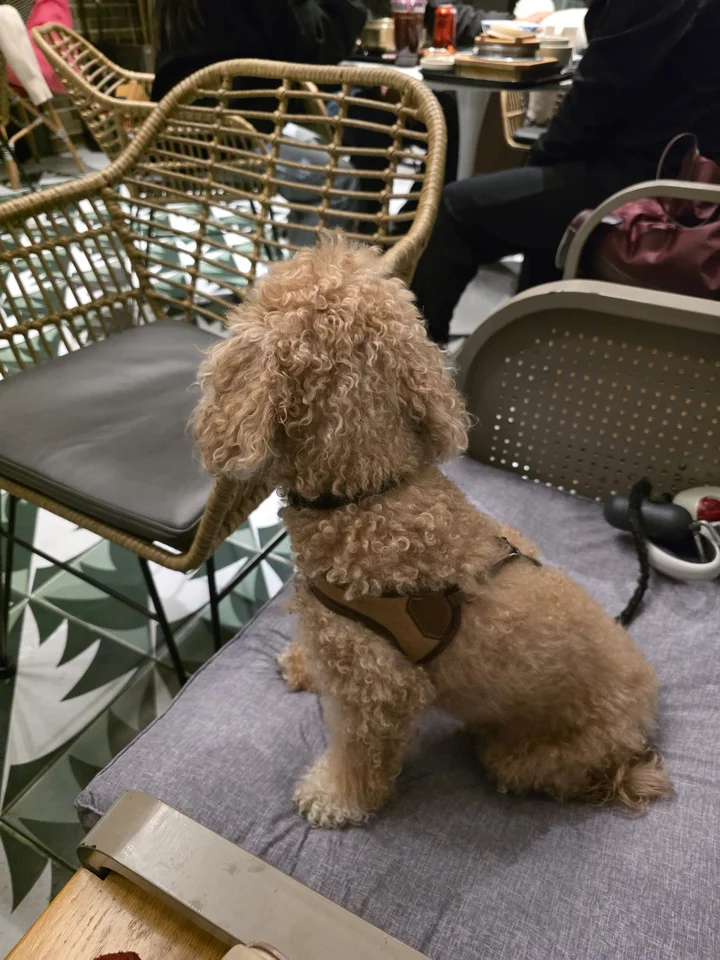 안성스타필드
