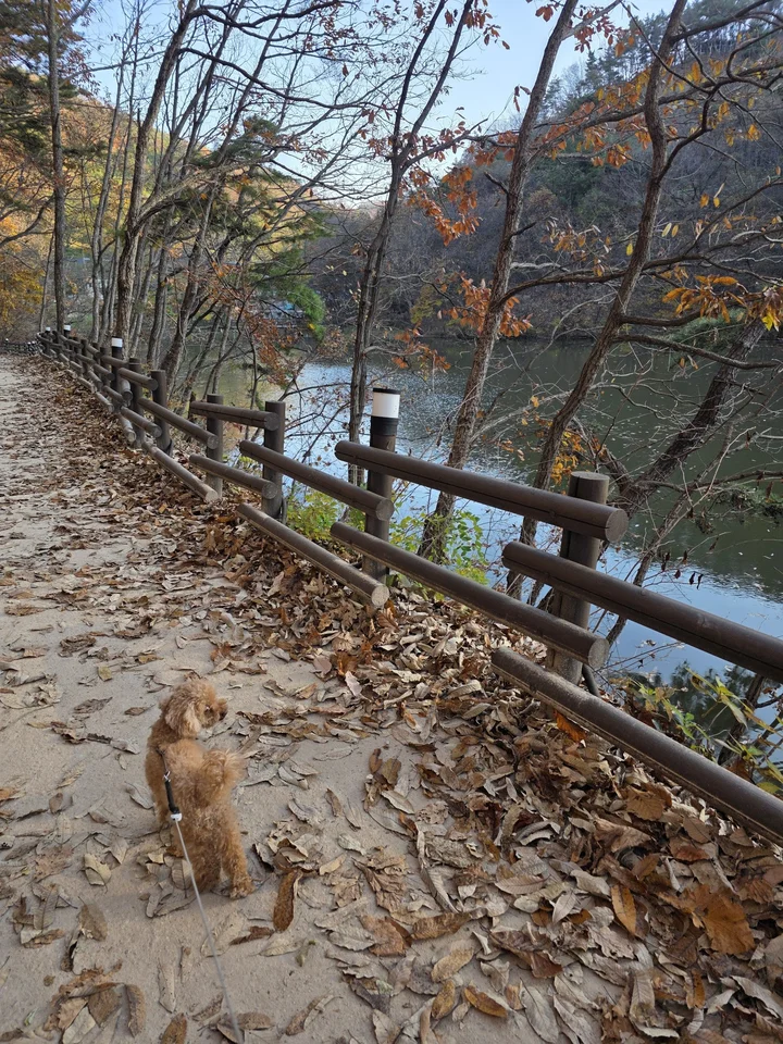 금학생태공원