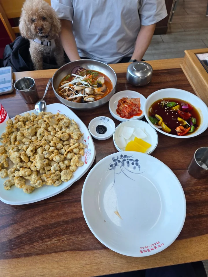 travel_260703_차박_군산_새만금_장자도_1
