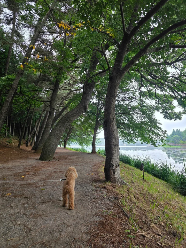travel_260703_차박_군산_새만금_장자도_6