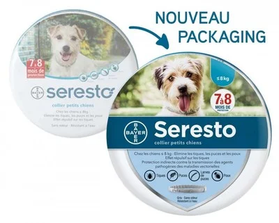 Pasted_image_20251124202104