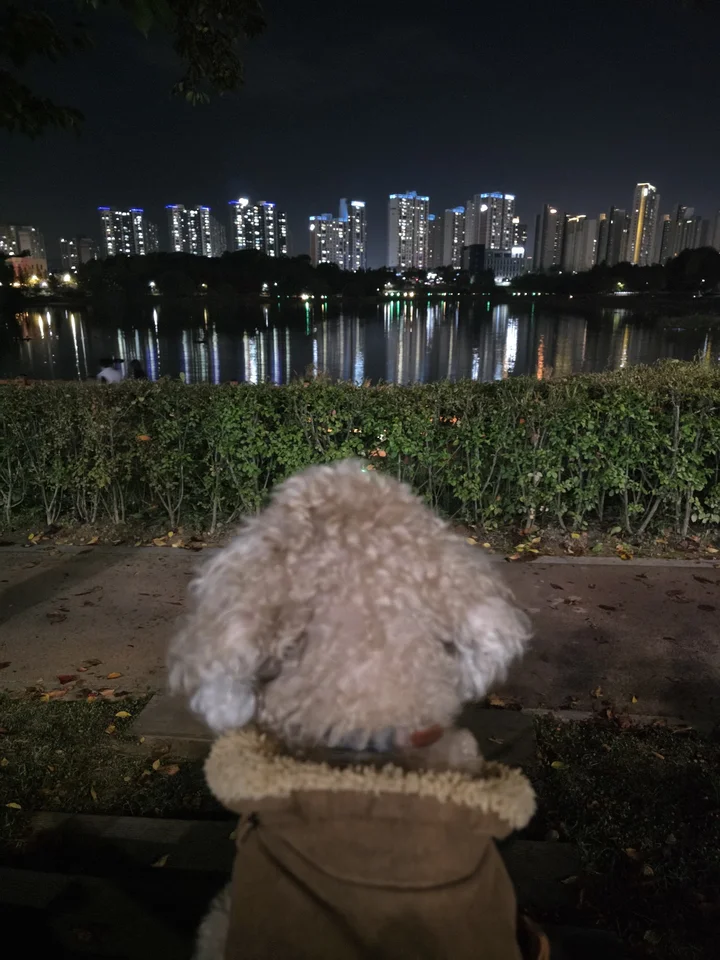 배다리 생태공원 건네편 아파트를 바라보는 토리