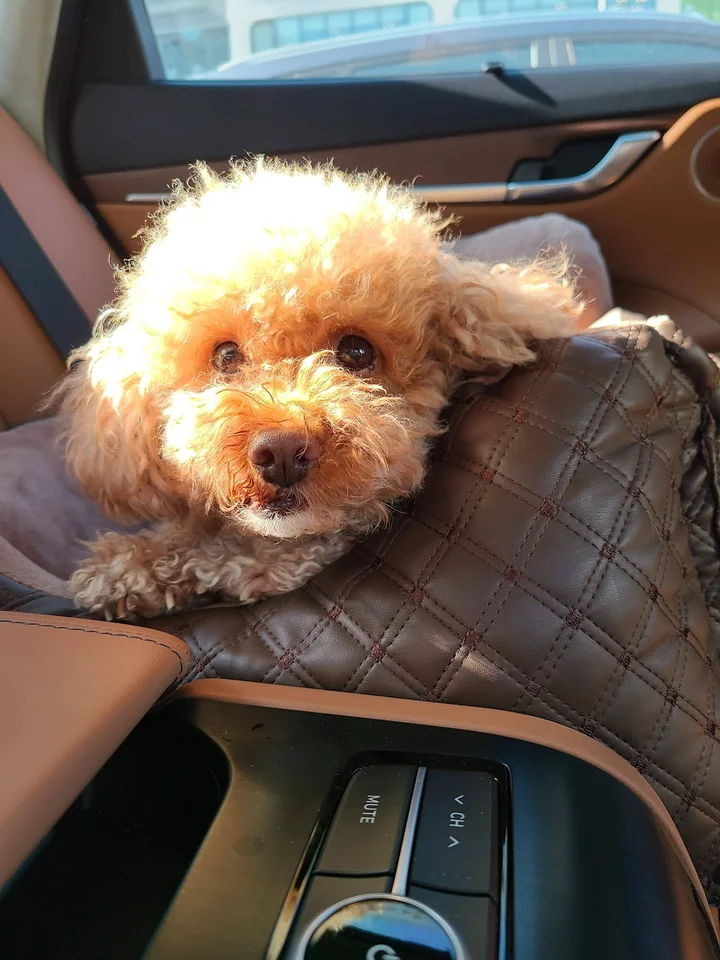 보령 가는길 차안에서