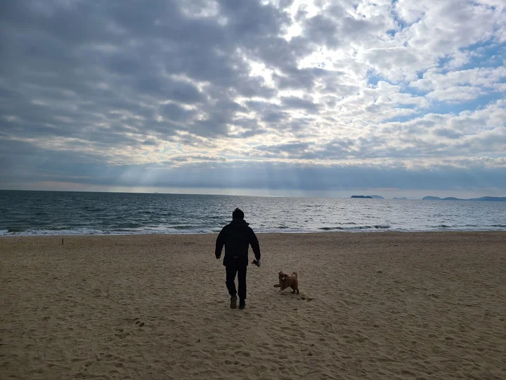 원산도 해수욕장