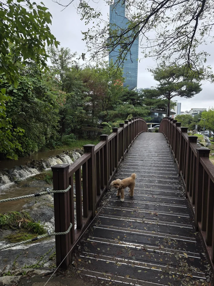 명암저수지 산책길