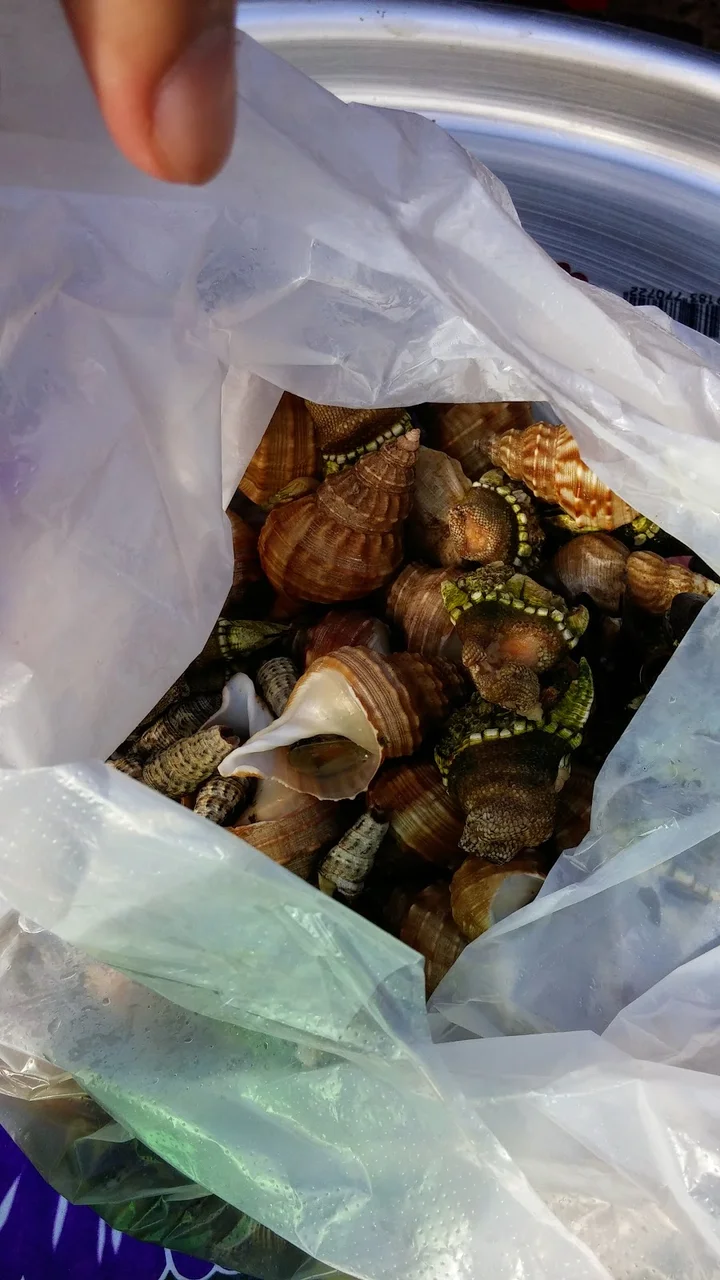 Pasted_image_20251031171046