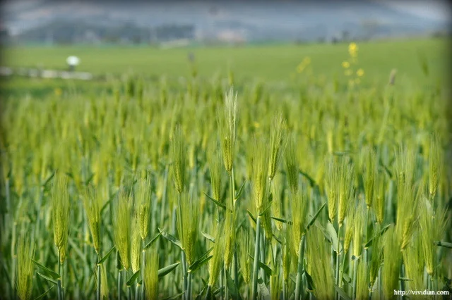 Pasted_image_20251031225000