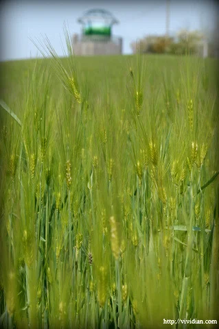 Pasted_image_20251031225018