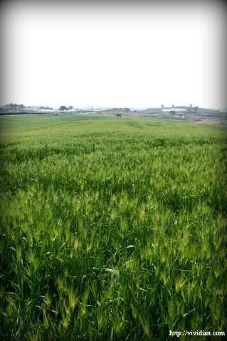 Pasted_image_20251031225101