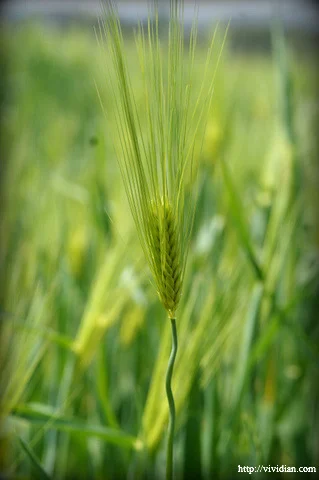 Pasted_image_20251031225117