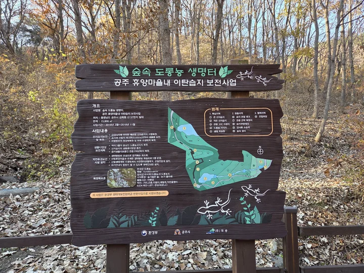 공주 휴양마을 숲속 도롱뇽 생명터