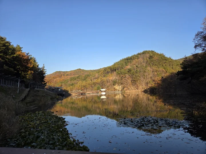 금학생태공원 저수지 전경