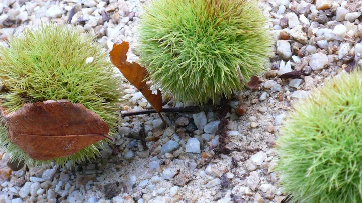 Pasted_image_20251128160118