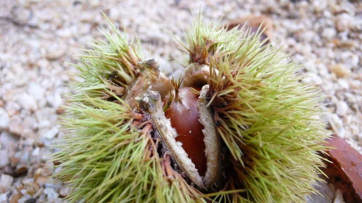 Pasted_image_20251128160130