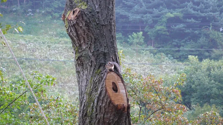 Pasted_image_20251128160145