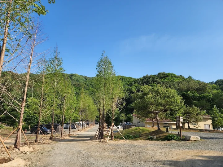 Pasted_image_20251128155116