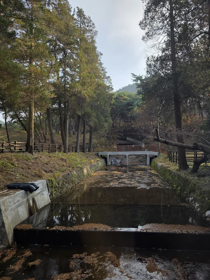 서천 치유의 숲 입구