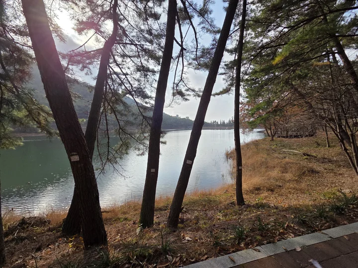 서천 치유의숲 저수지