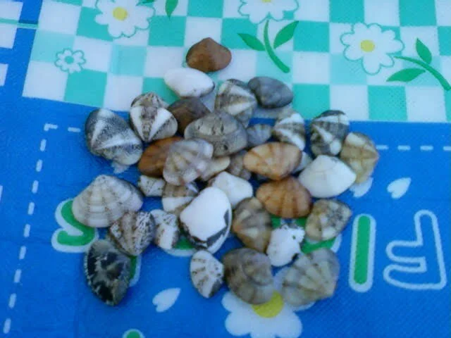 Pasted_image_20251128160642