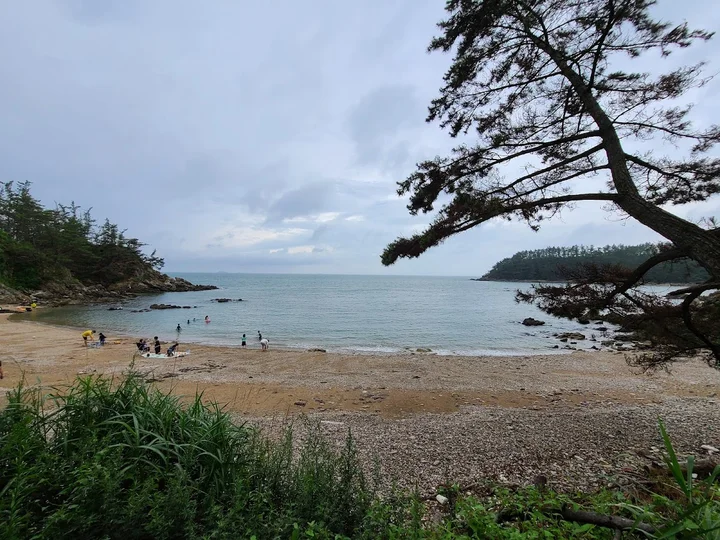 Pasted_image_20251128154643