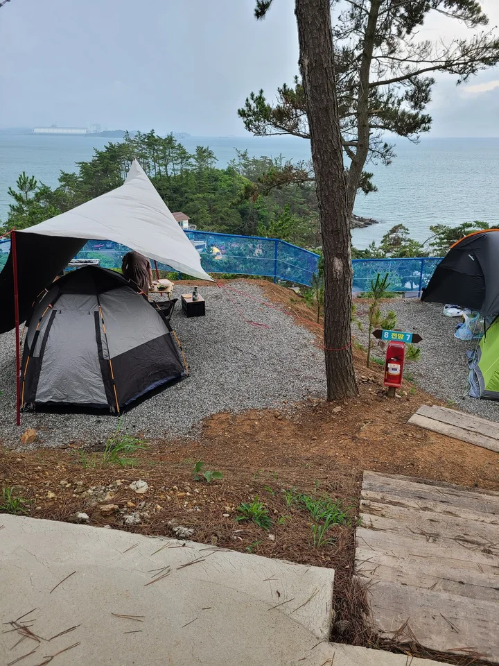 Pasted_image_20251128154655