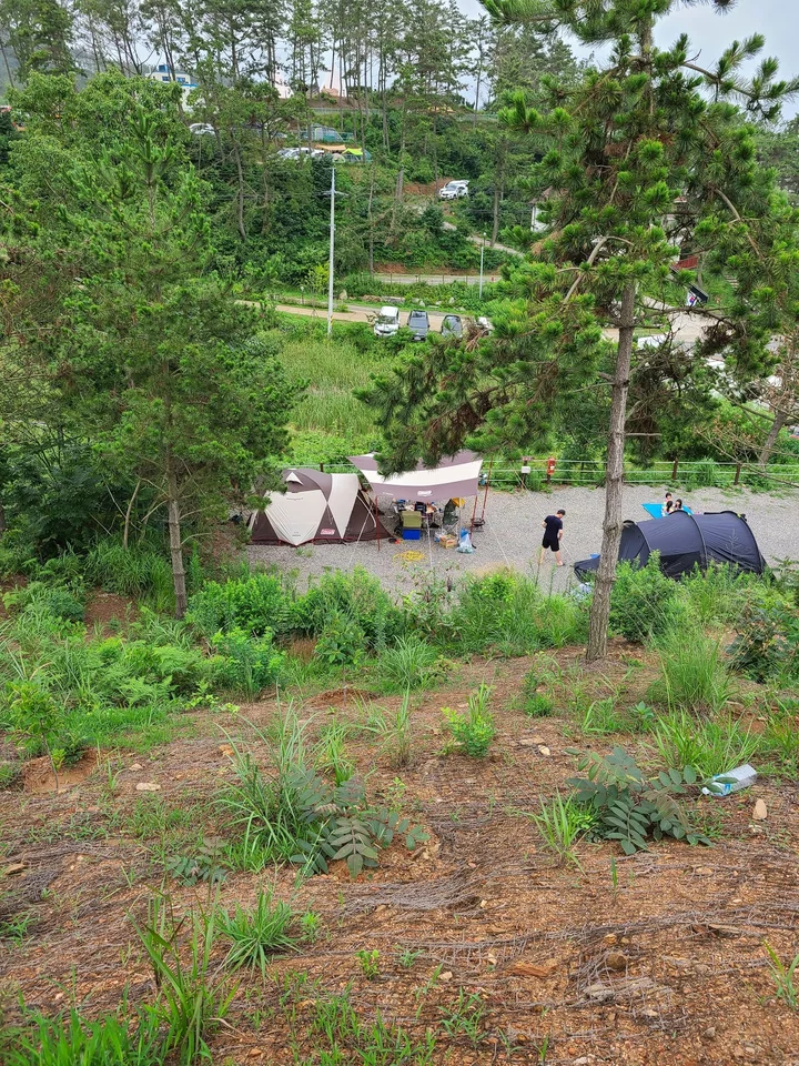 Pasted_image_20251128154716