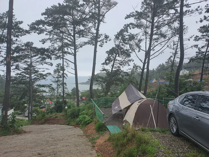 Pasted_image_20251128154729