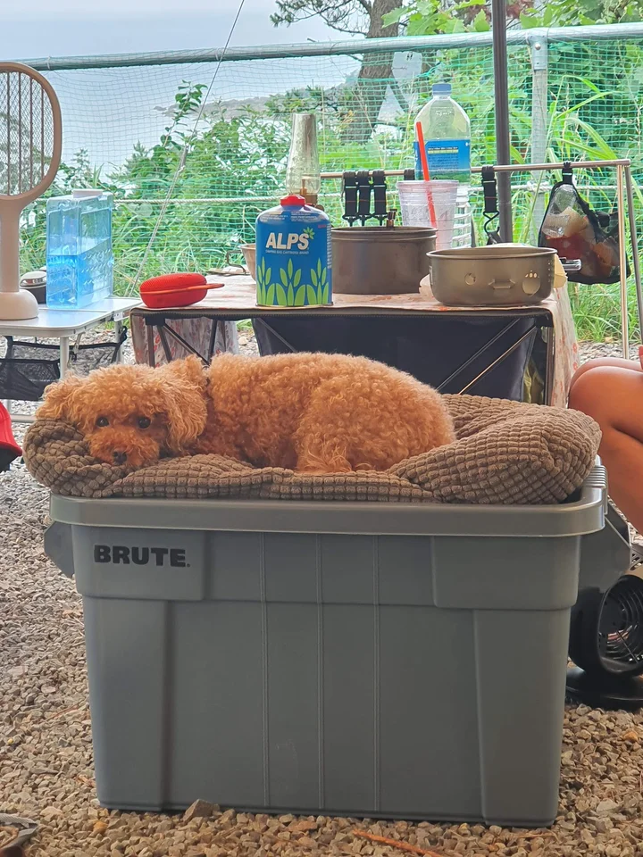 Pasted_image_20251128154818