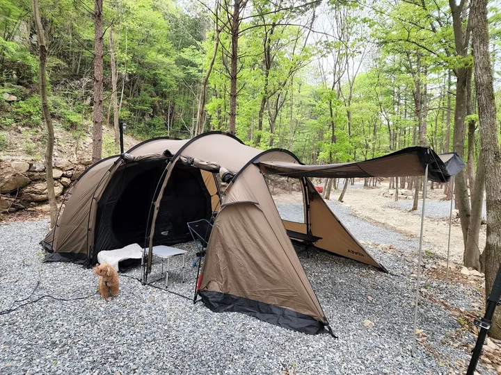 Pasted_image_20251128155757