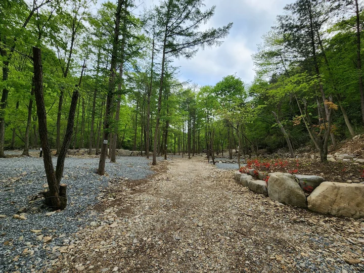 Pasted_image_20251128155813