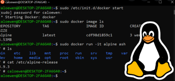 WSL2 (Windows Subsystem for Linux) 설치